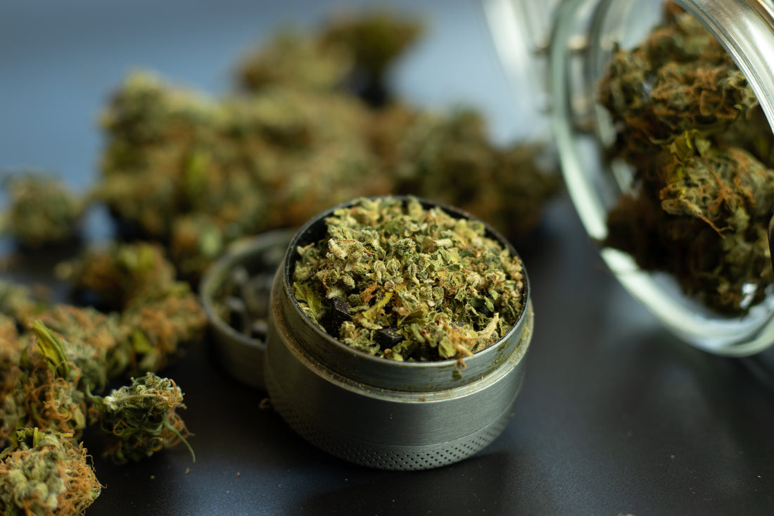 Venom OG Strain Review: Crisp Citrus, Mental Clarity, and Serious Sativa Power