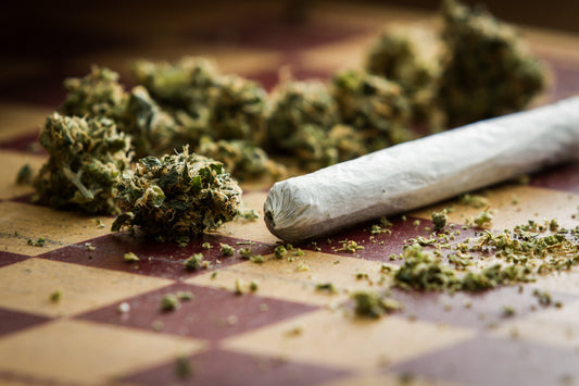 Hashburger Strain Review: Spicy Citrus, Euphoric Calm, and Nighttime Relief
