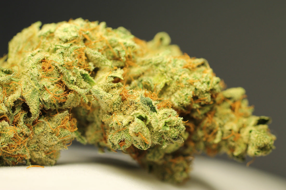 Hawaiian Snow Cone Strain Review: Tropical Flavor and Clear-Headed Lift