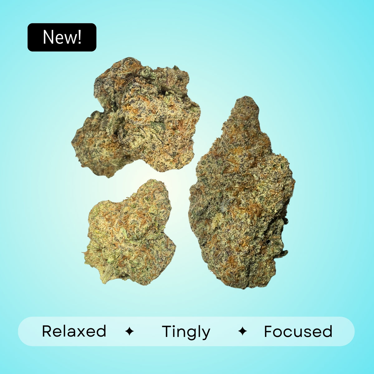 Dante's Wrath- Indica- 31.79%