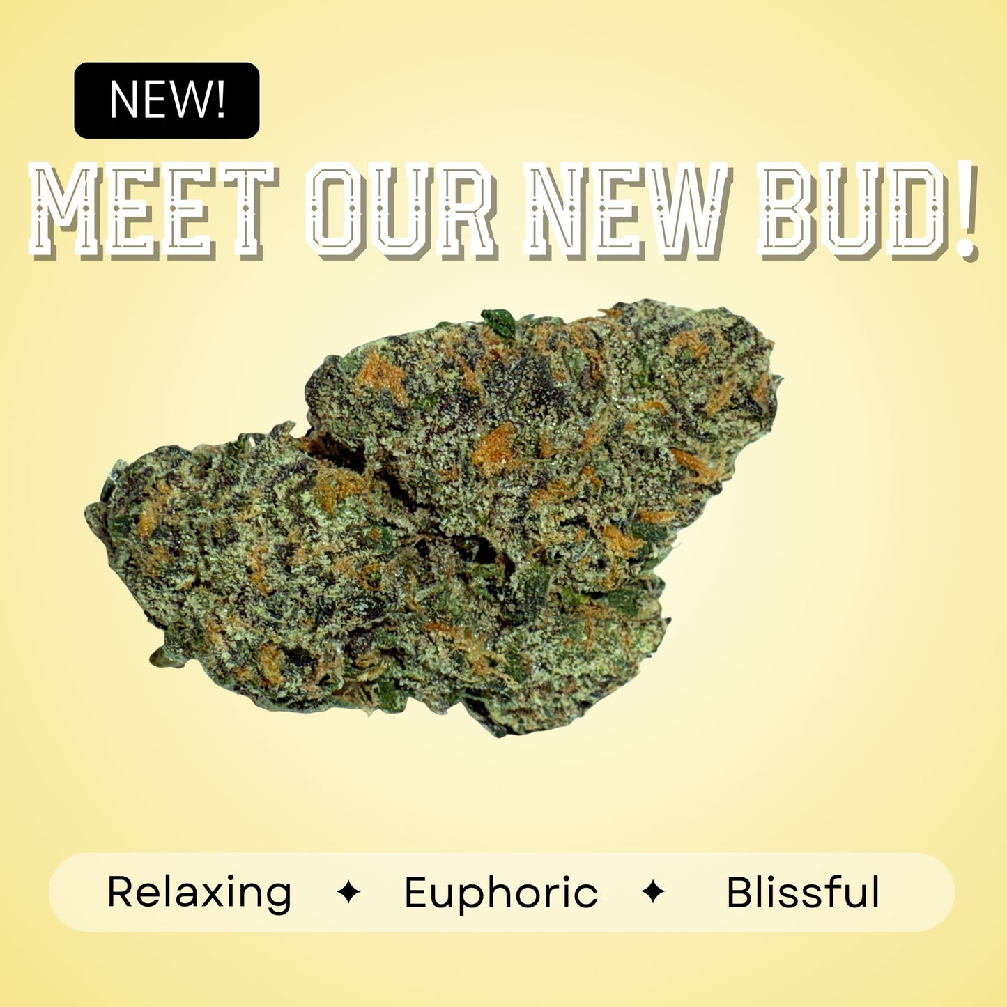 Georgia Pie - Hybrid - 33.00%