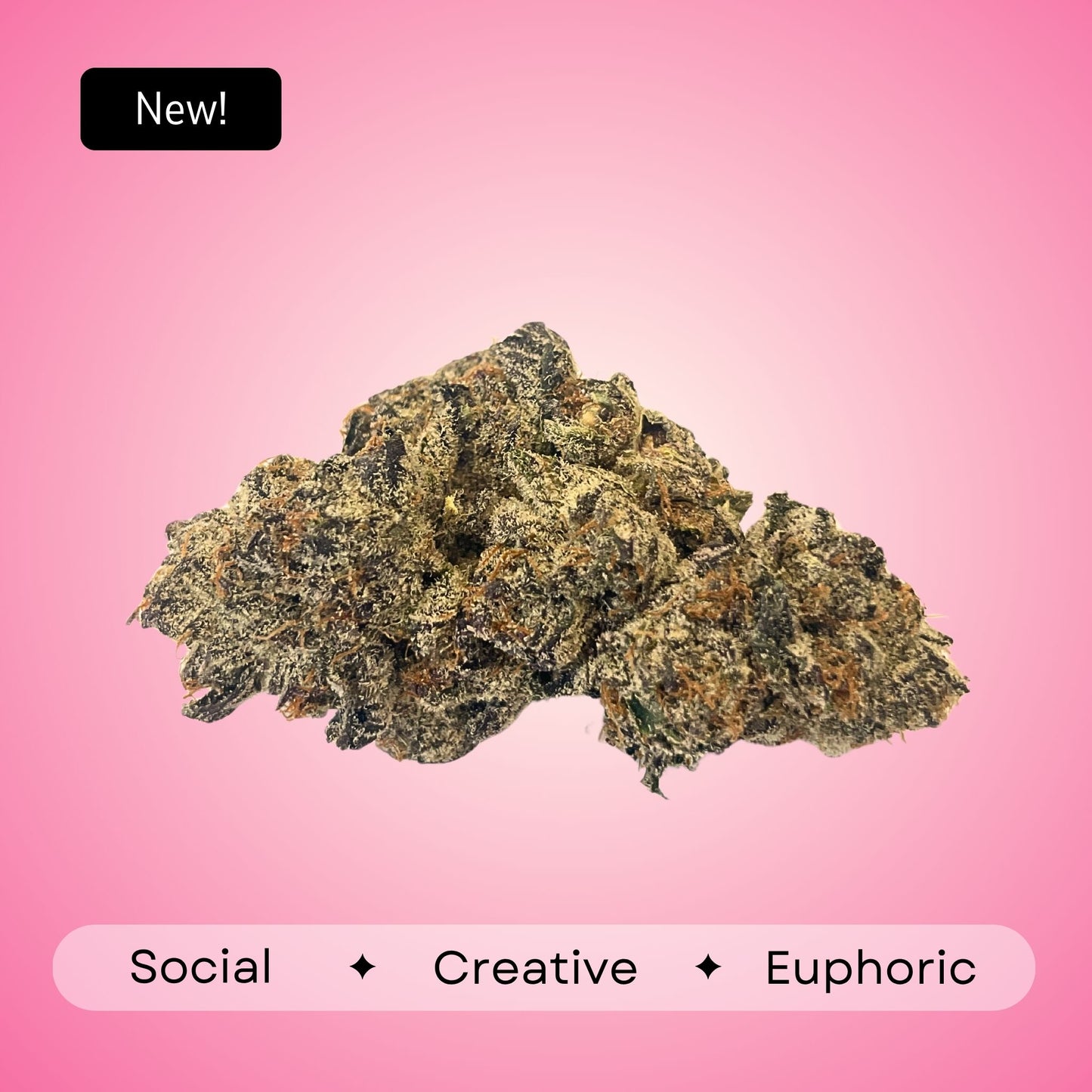 Halle Berry - Sativa - 33.2%