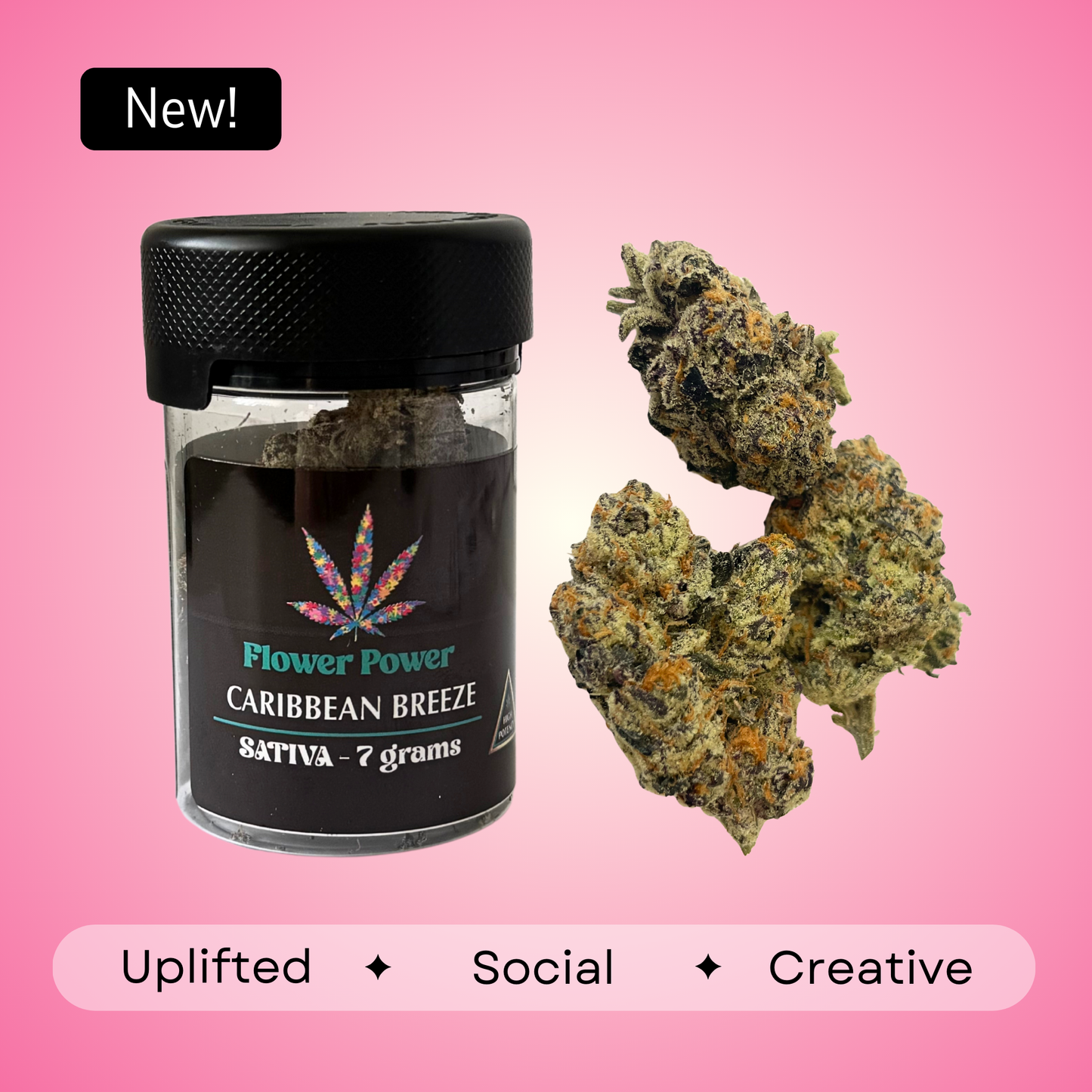 Caribbean Breeze - Sativa - 36.4%