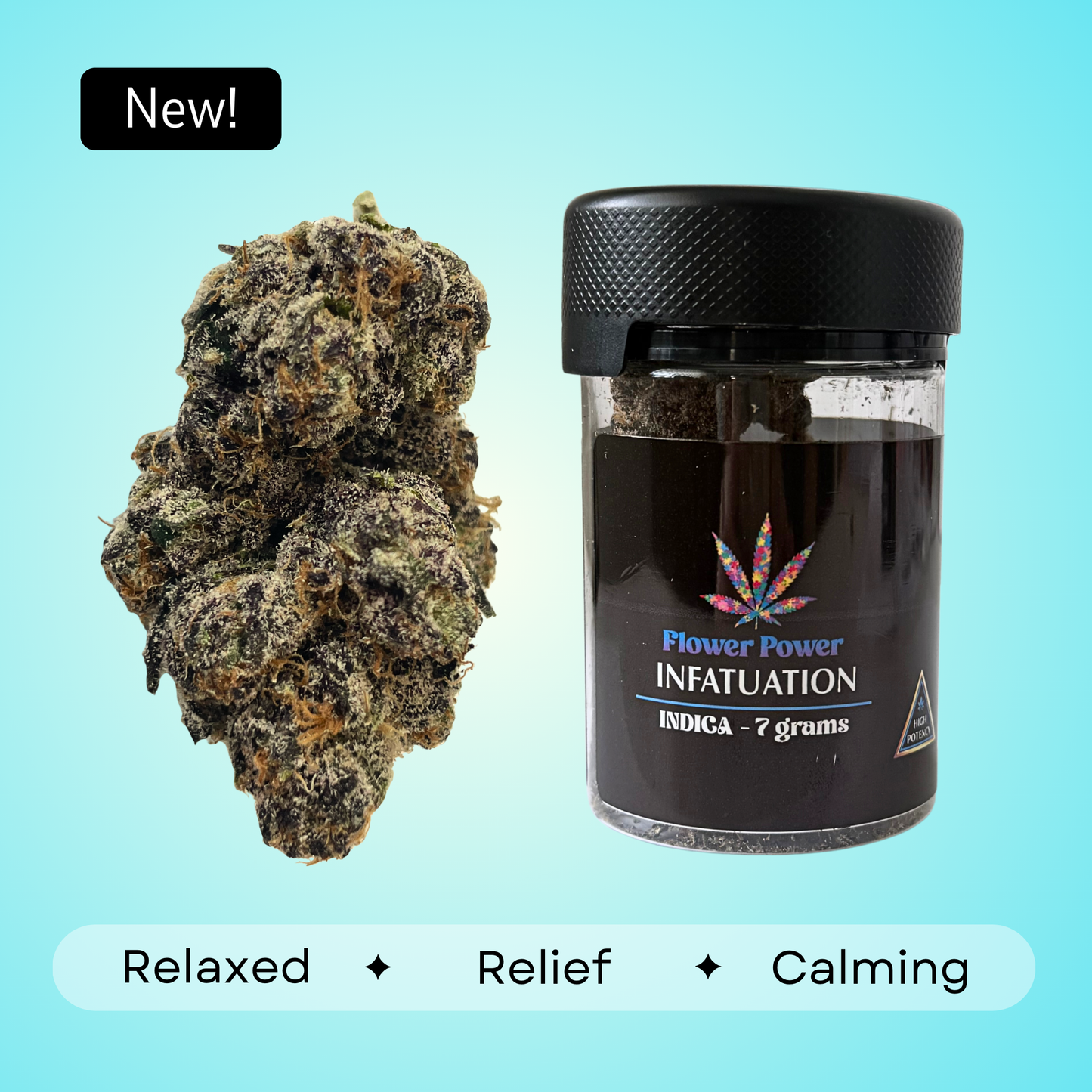 Infatuation - Indica- 36.0%
