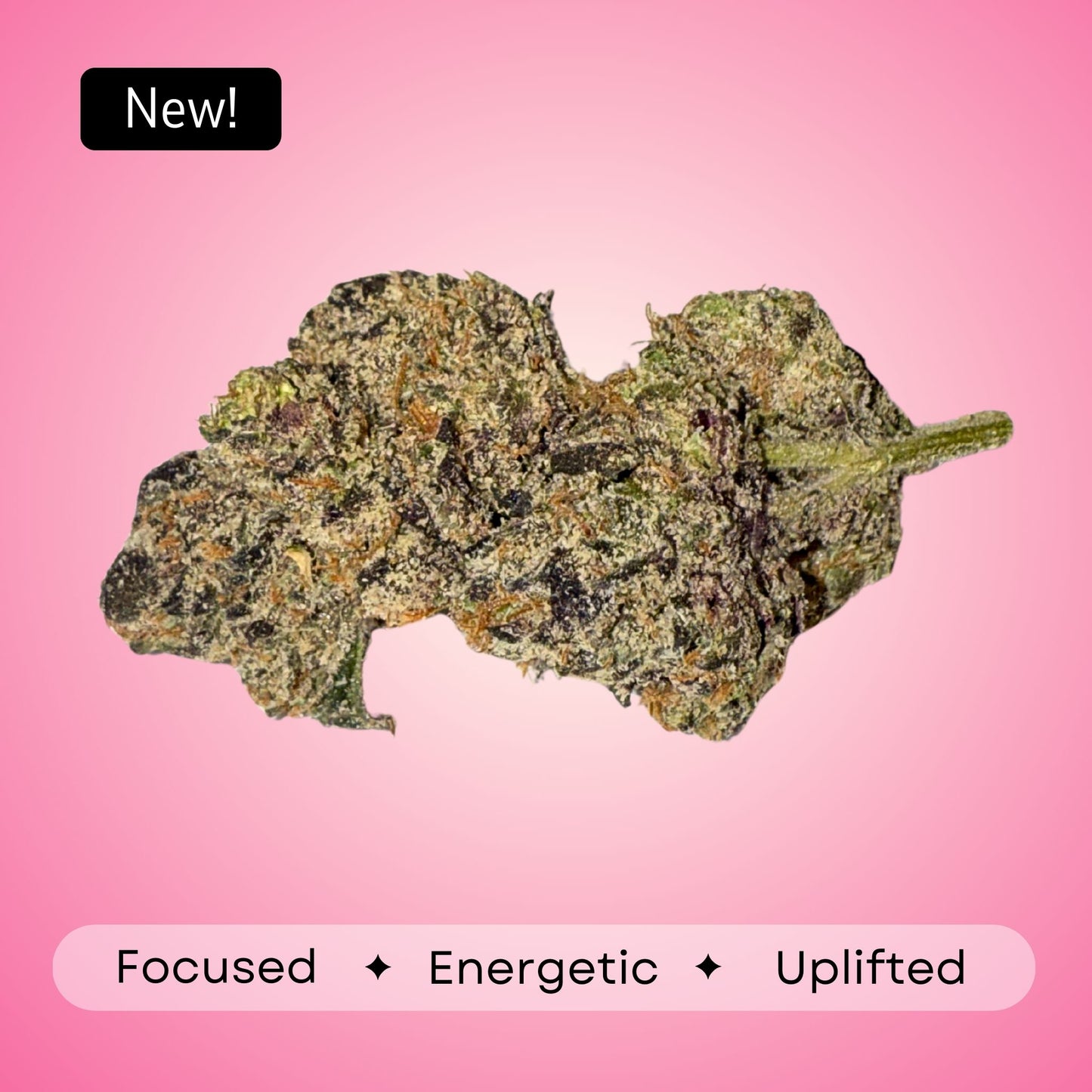 Mimosa - Sativa - 36.32 %