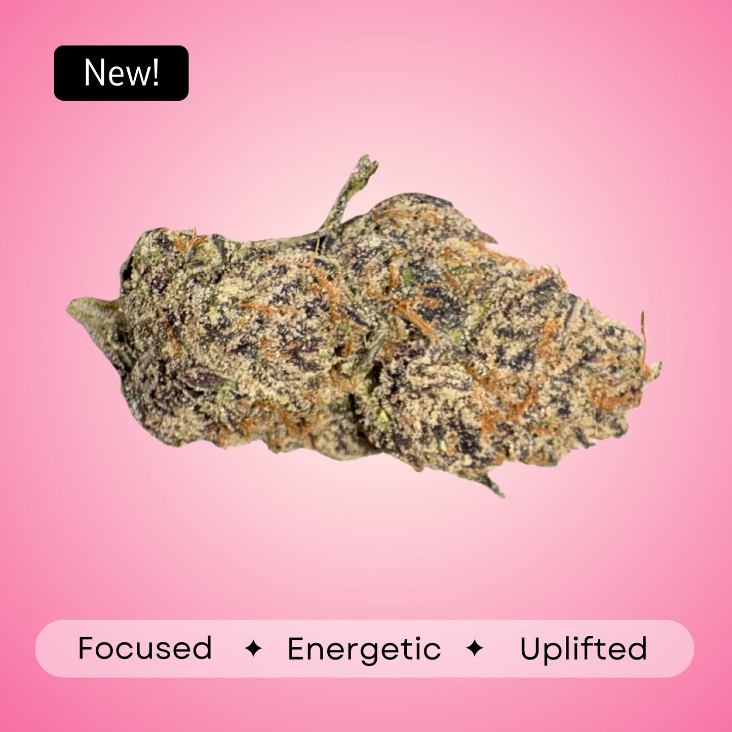 Mimosa - Sativa - 36.32 %