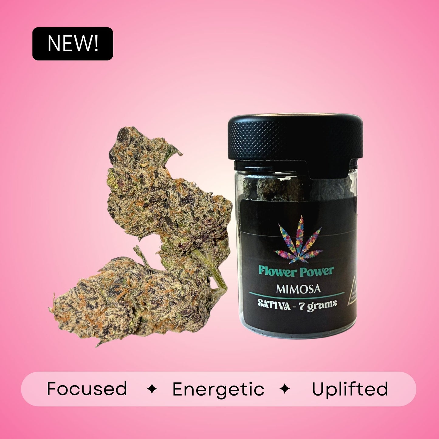 Mimosa - Sativa - 36.32 %