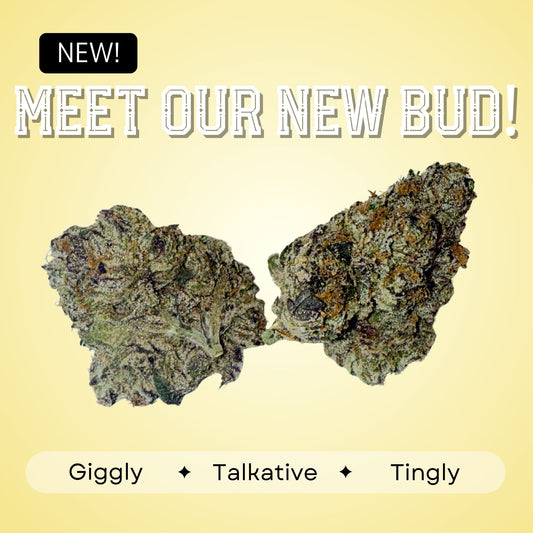 Pink Runtz - Hybrid - 35.87%