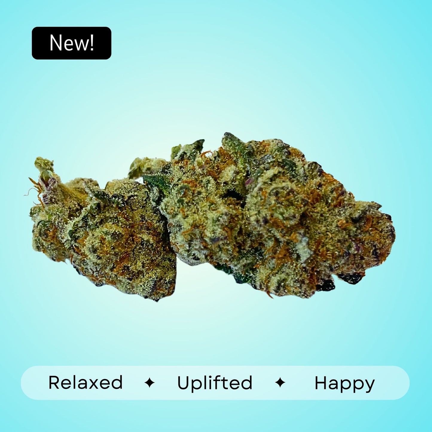 Pinnacle- Indica- 36.01%