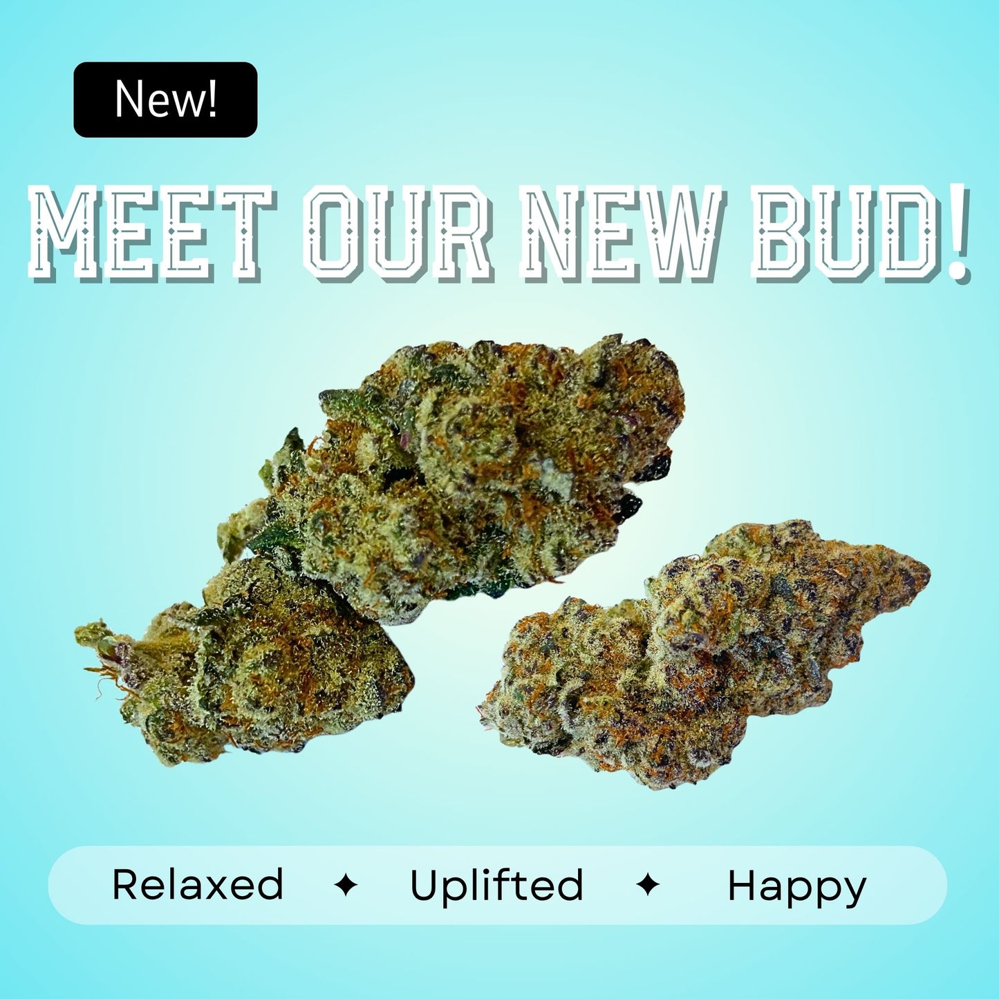 Pinnacle- Indica- 36.01%