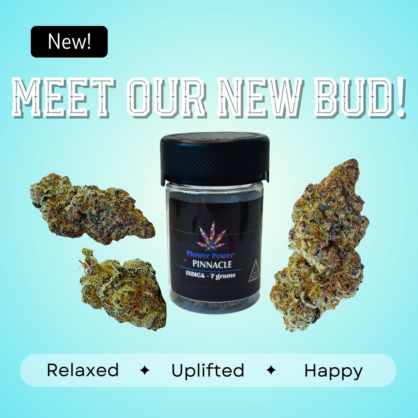 Pinnacle- Indica- 36.01%