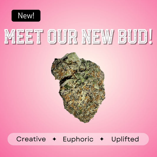 Purple Haze- Sativa - 34%