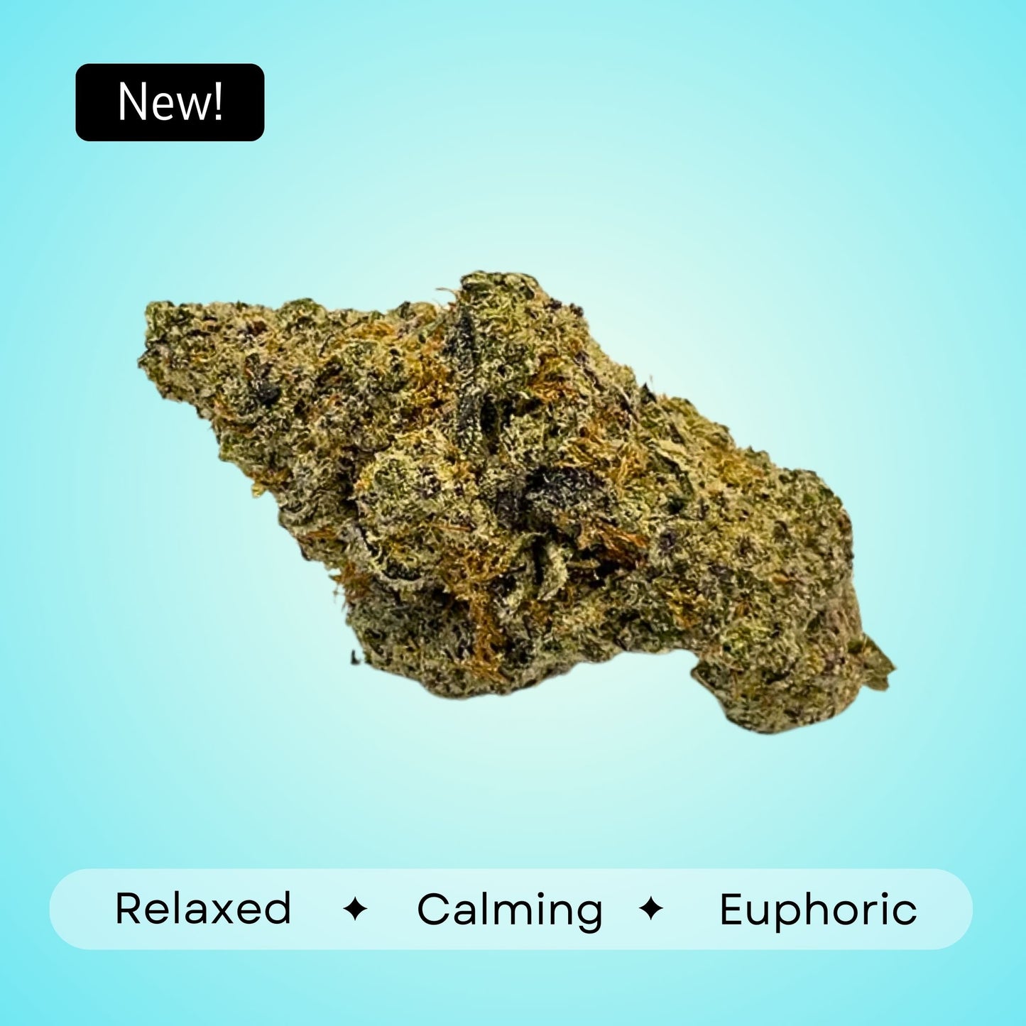 Wedding Cake - Indica - 33.09