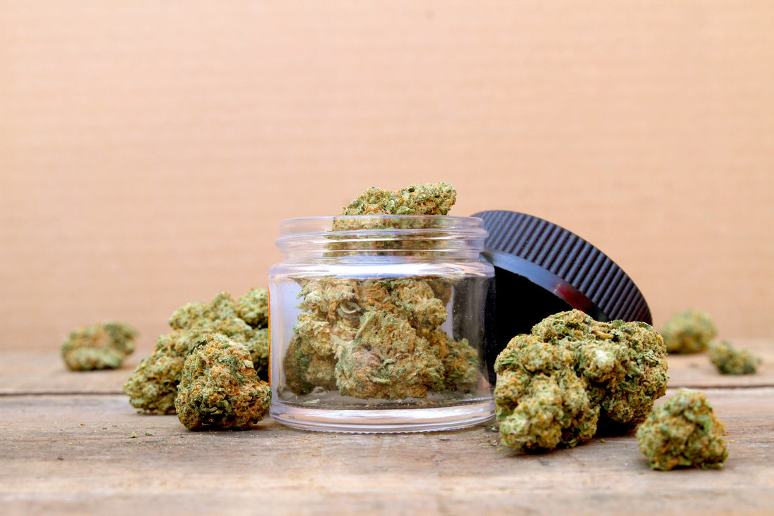War Headz Strain Review: Sour Flavor, Balanced High, and Feel-Good Energy
