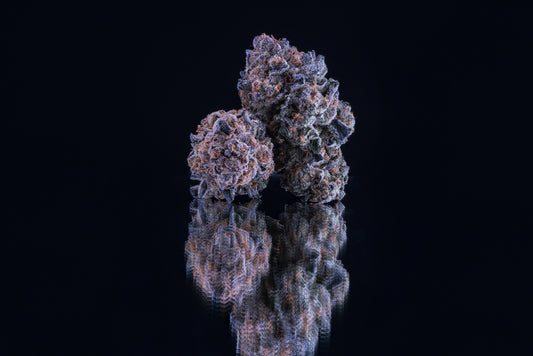 Grand Daddy Purple Strain Review: Grape Flavor and Legendary Indica Calm