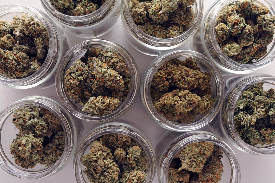 Gas Face Strain Review: Smooth Flavor, Balanced Relief, and Creative Focus