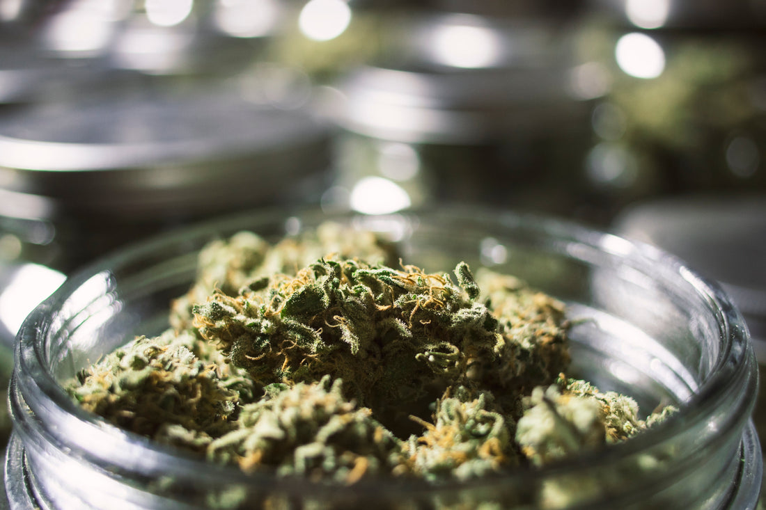 Top Gun Strain Review: Deep Calm, Earthy Flavor, and Sleep-Ready Relief