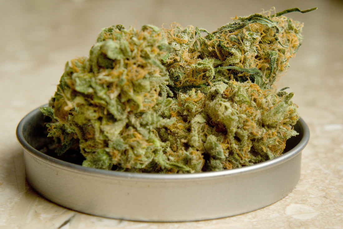 Cookies & Cream Strain Review: Smooth, Balanced, and Built for Everyday Calm