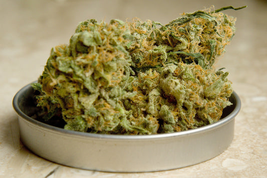 Cookies & Cream Strain Review: Smooth, Balanced, and Built for Everyday Calm