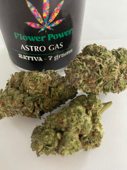 Astro Gas-Sativa 
No Med Card Needed