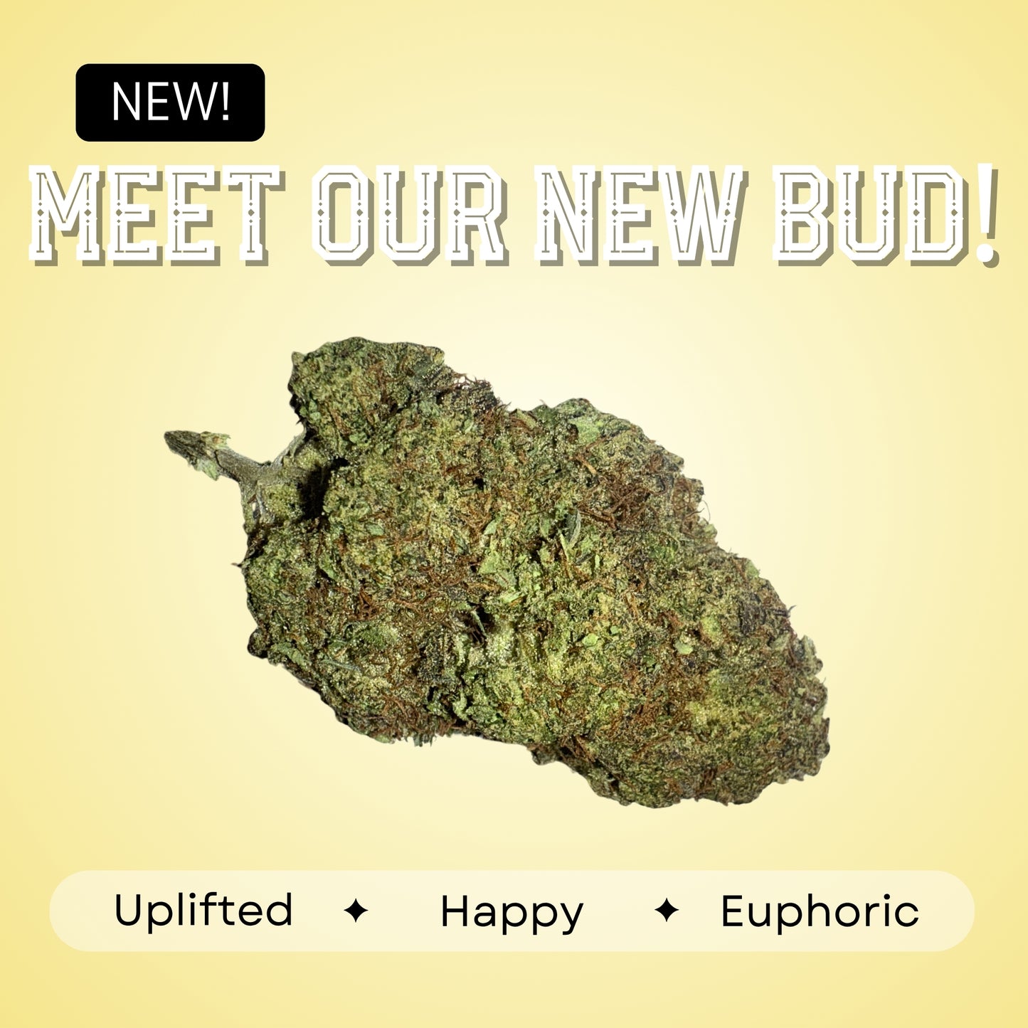 Big Buddha Cheese - Hybrid - 34.32%