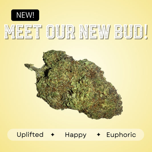 Big Buddha Cheese - Hybrid - 34.32%