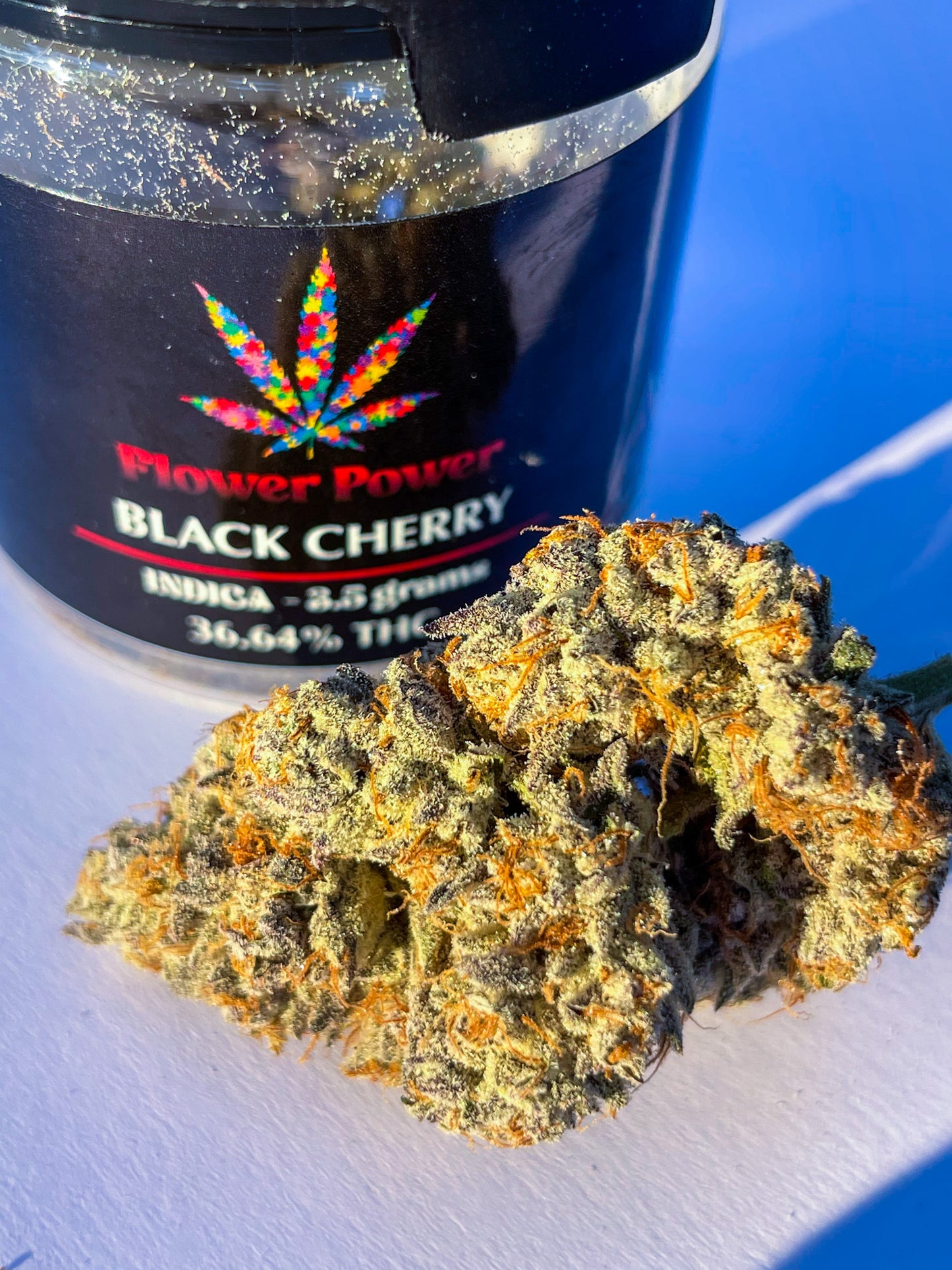 Black Cherry Indica Flower
No Med Card Needed