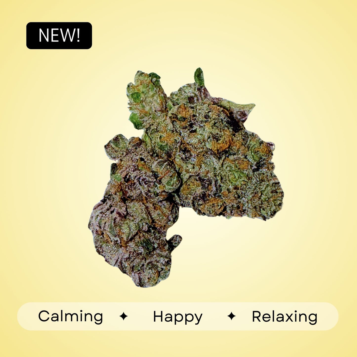 Cherry Sangria- Hybrid - 36.99%