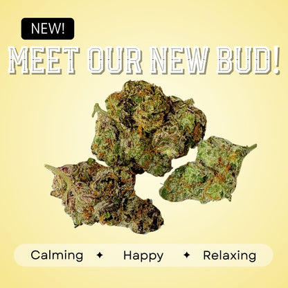 Cherry Sangria- Hybrid - 36.99%