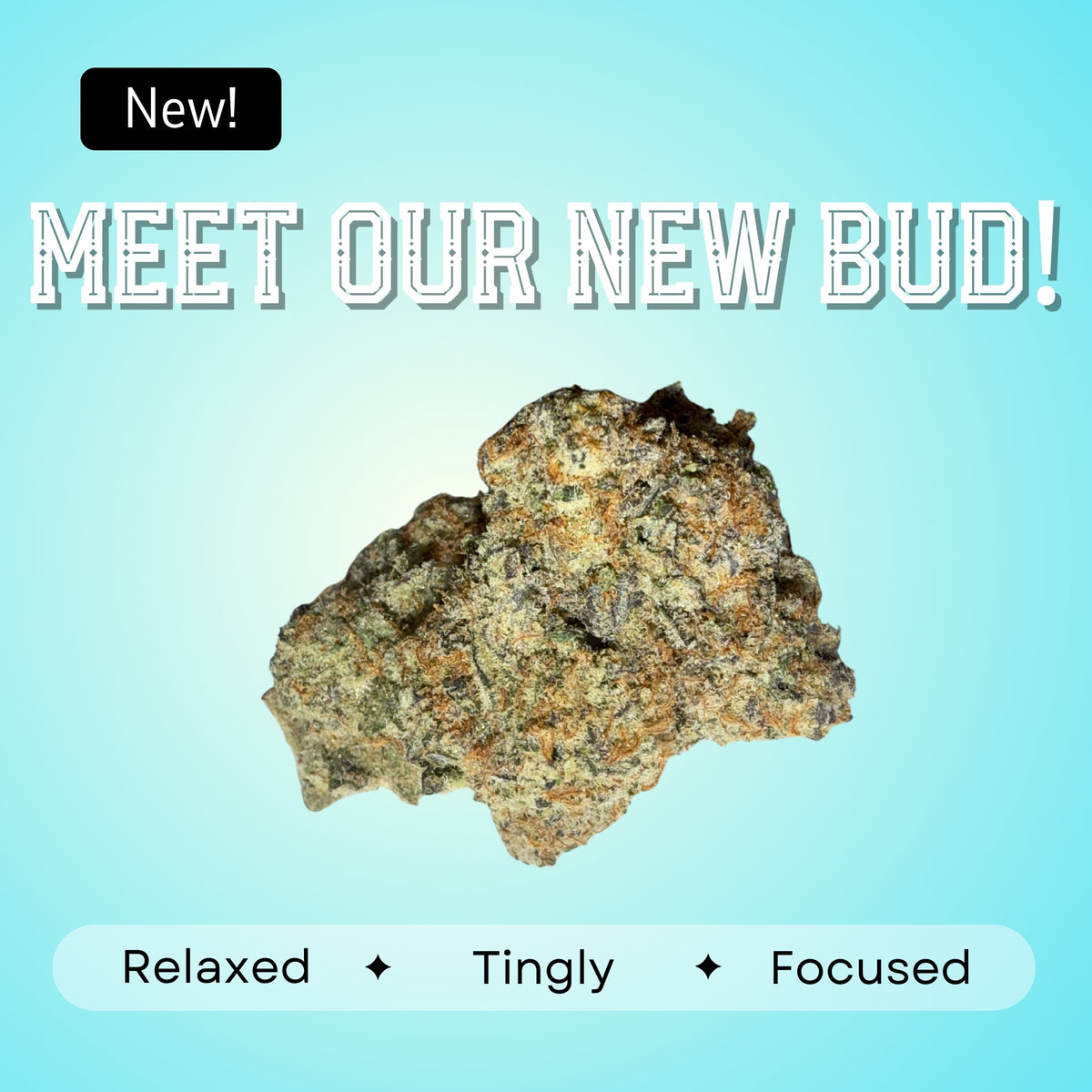 Dante's Wrath- Indica- 31.79%