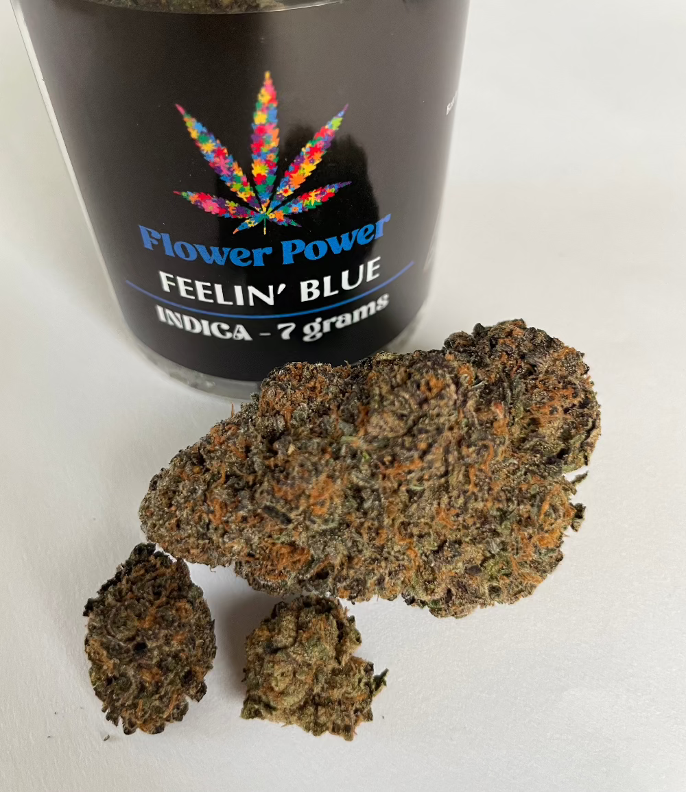 FeelinBlue Indica Flower
No Med Card Needed