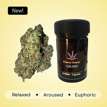 Gelato - Hybrid - 33.47%