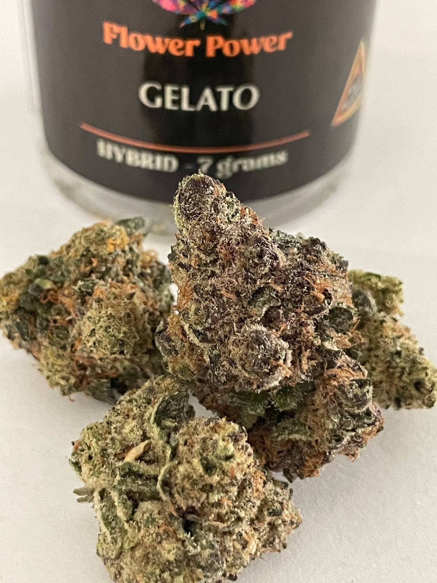 Gelato Hybrid Flower Hybrid
No Med Card Needed