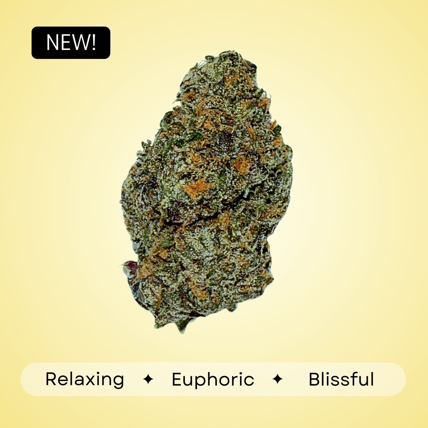 Georgia Pie - Hybrid - 33.00%