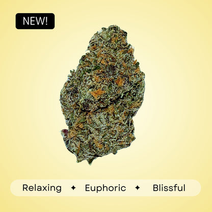 Georgia Pie - Hybrid - 33.00%