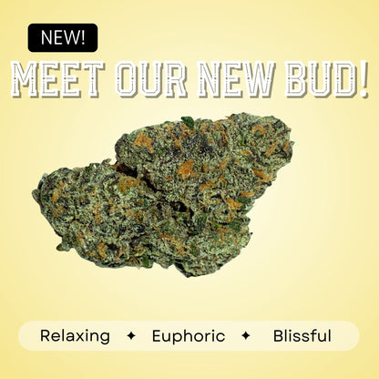 Georgia Pie - Hybrid - 33.00%