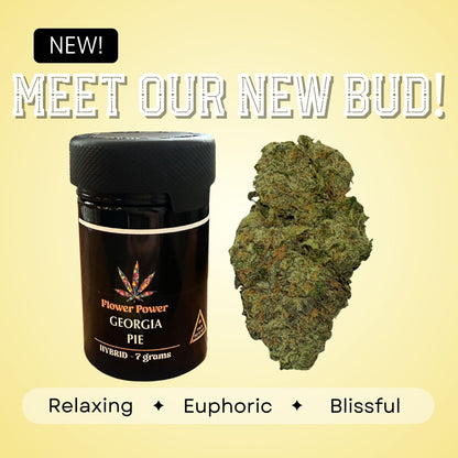 Georgia Pie - Hybrid - 33.00%