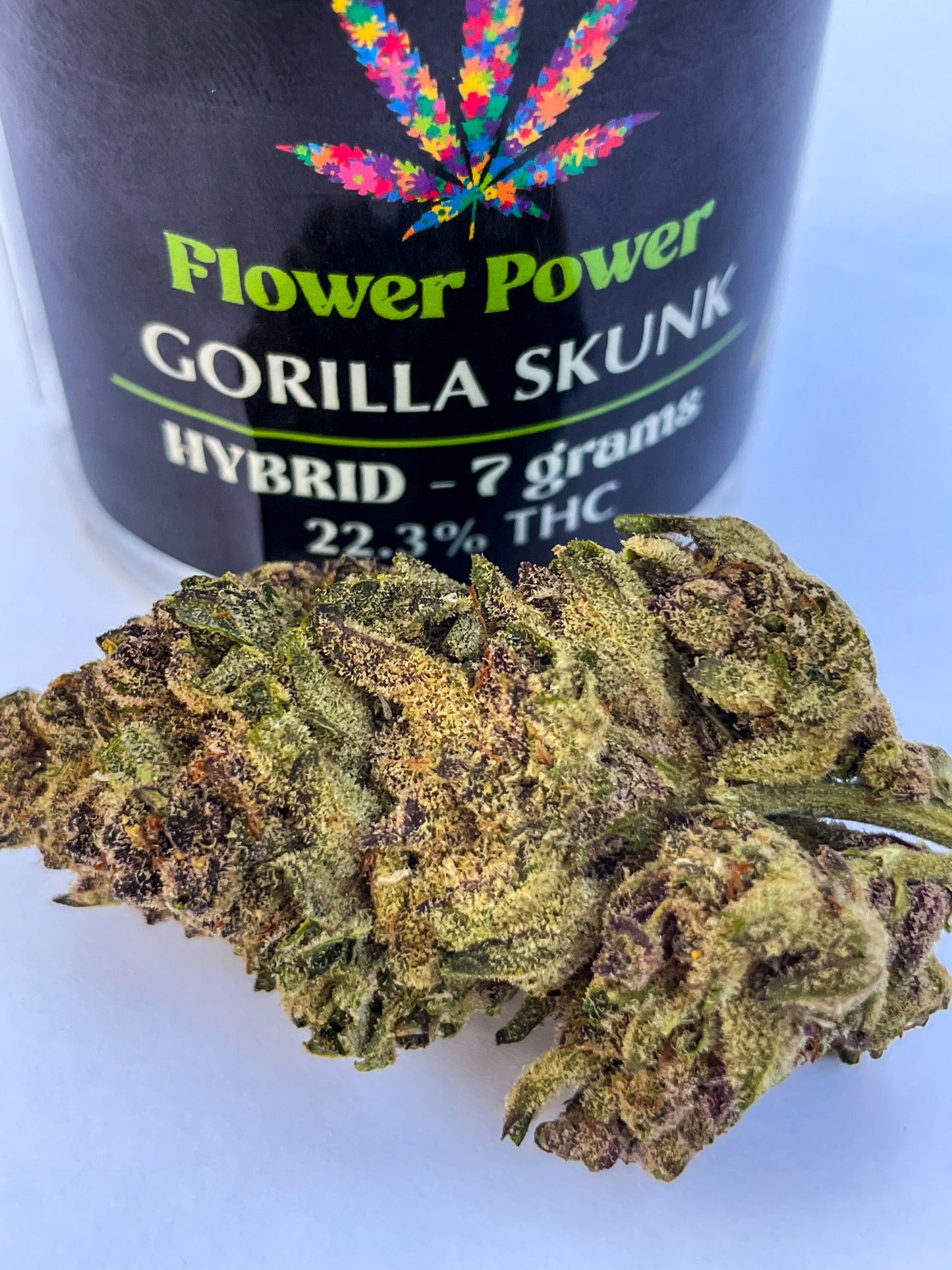 Gorilla Skunk - Hybrid - 22.3% - Out of Stock