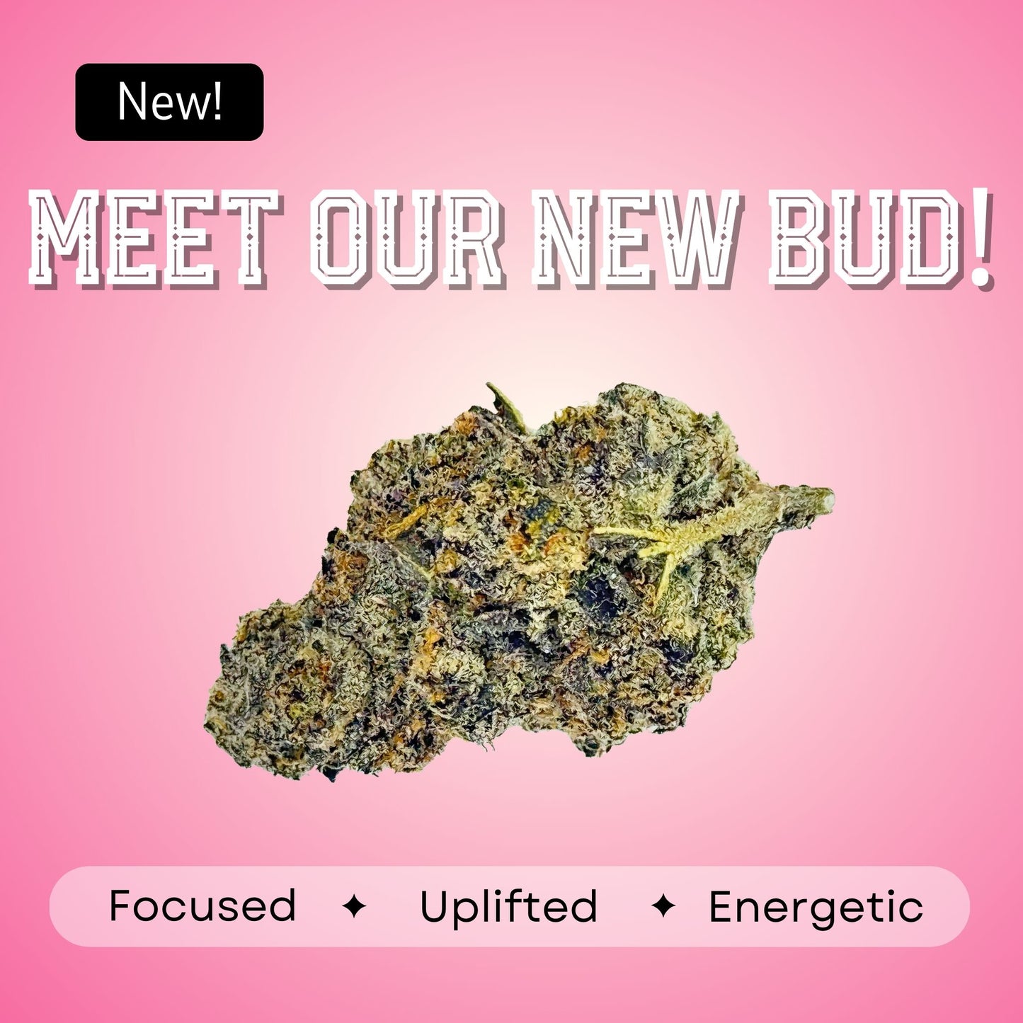 Guava Cooler - Sativa - 34.8%