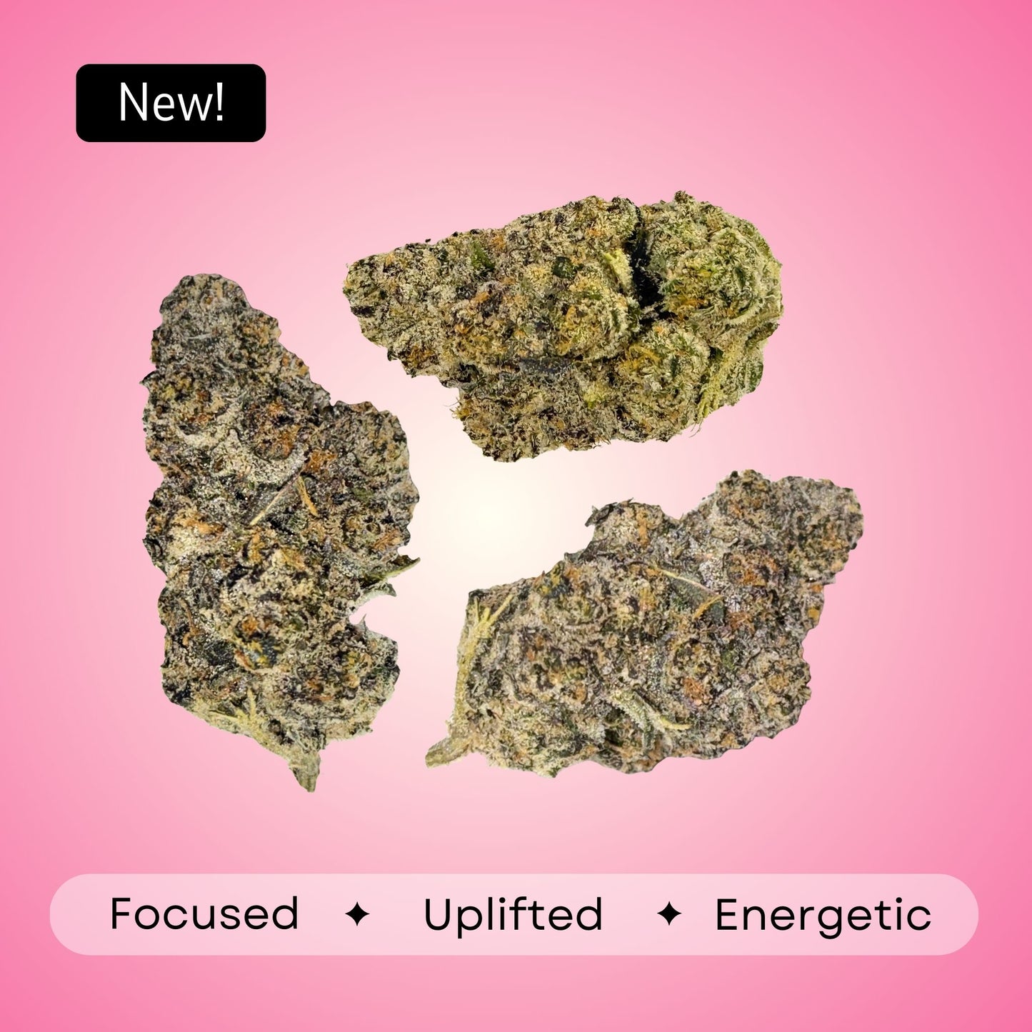 Guava Cooler - Sativa - 34.8%