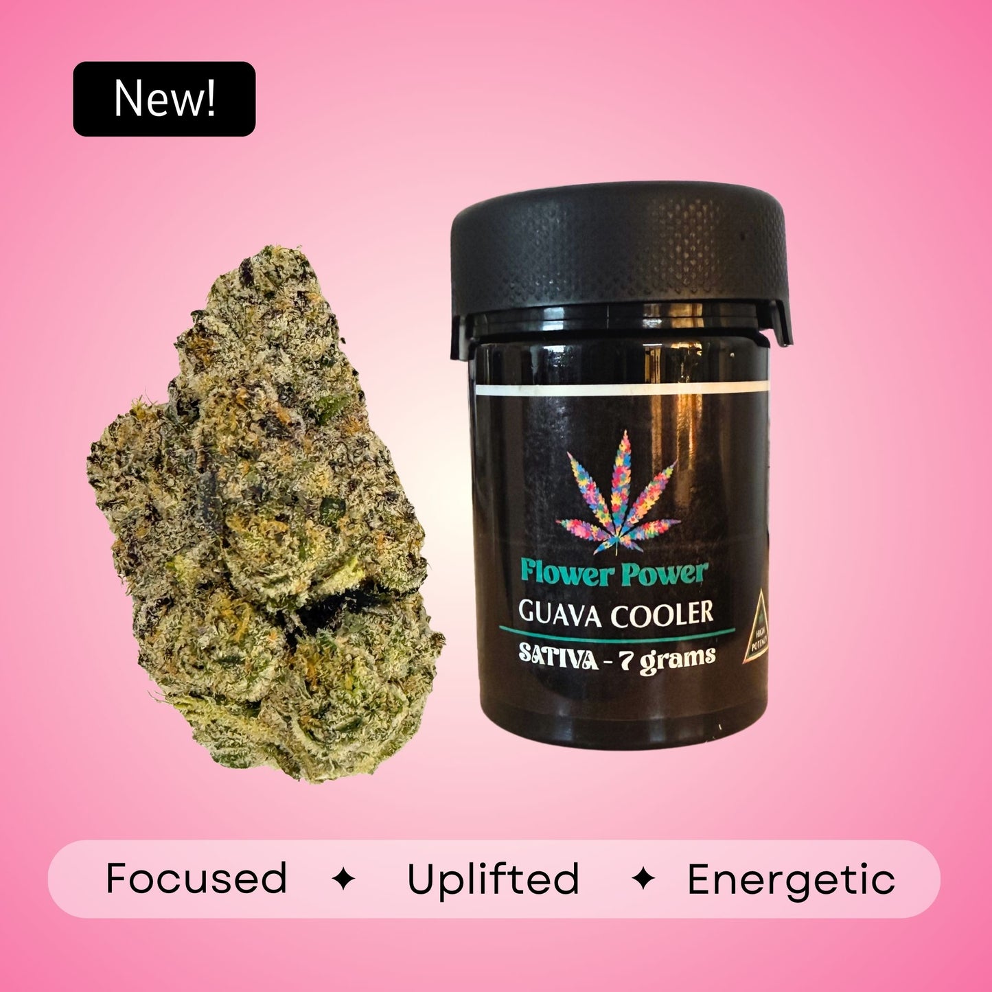 Guava Cooler - Sativa - 34.8%