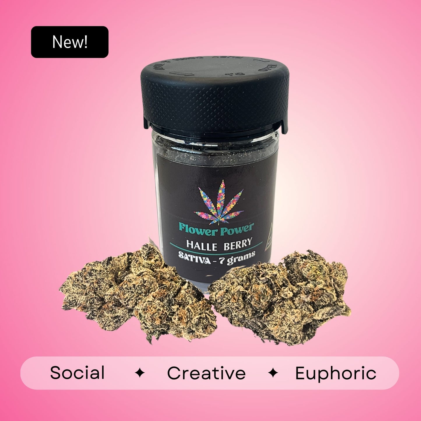 Halle Berry - Sativa - 33.2%