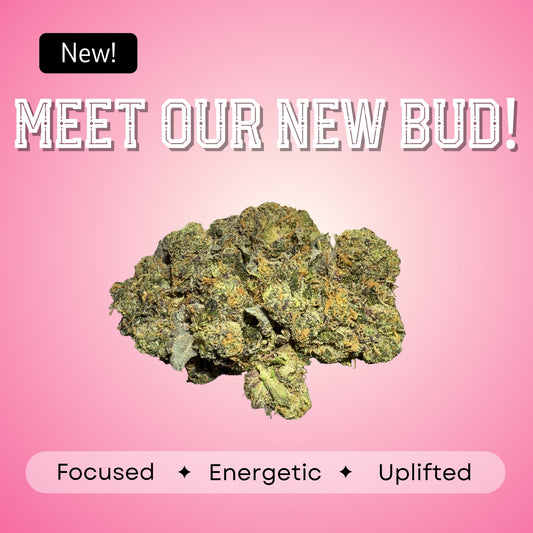 Lemonotti- Sativa - 35.73%