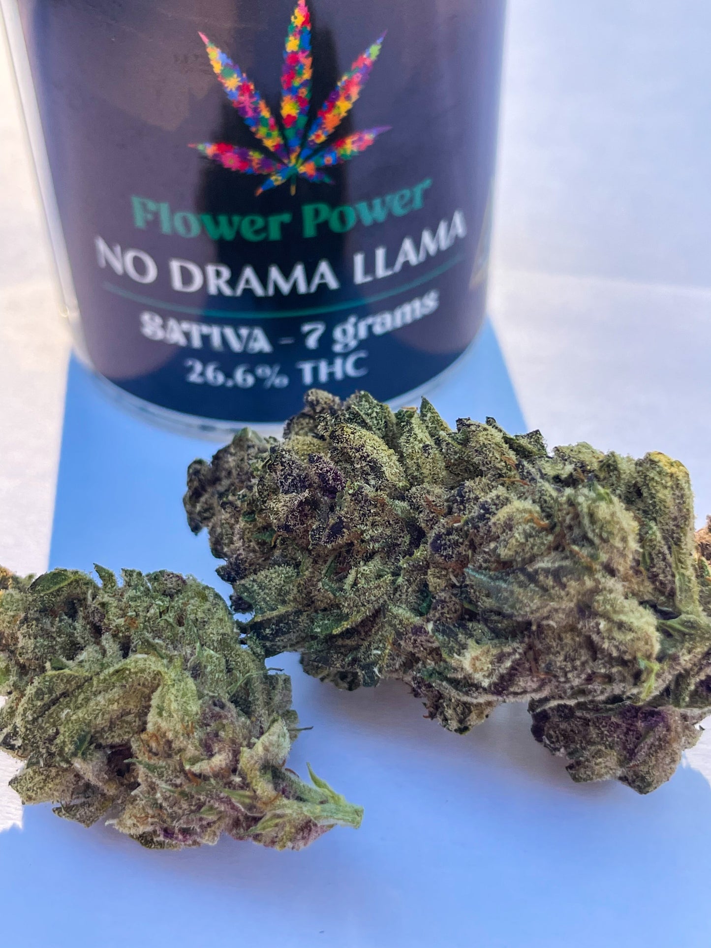 No Drama Llama - Sativa - 26.6%