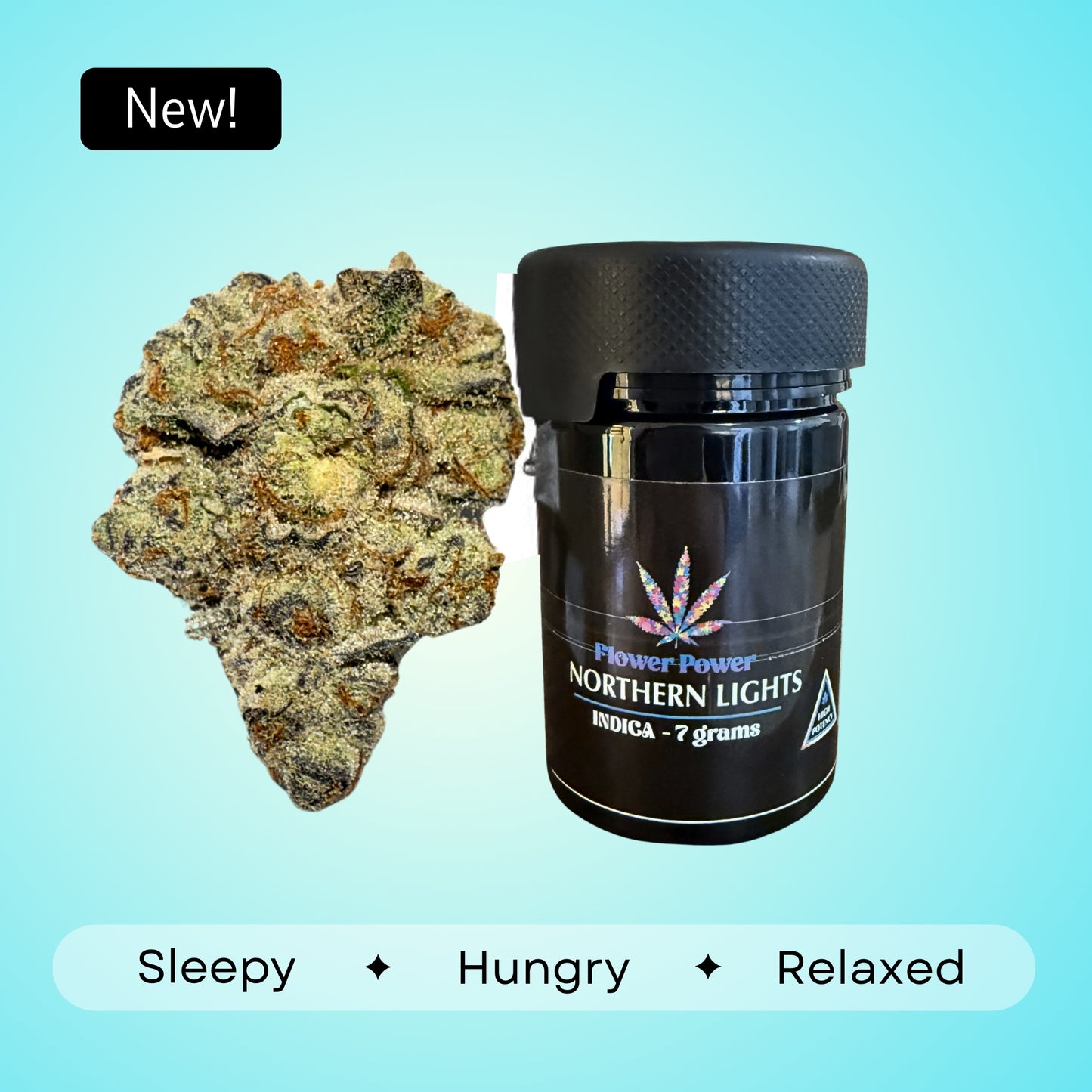 Northern Lights- 31.07%