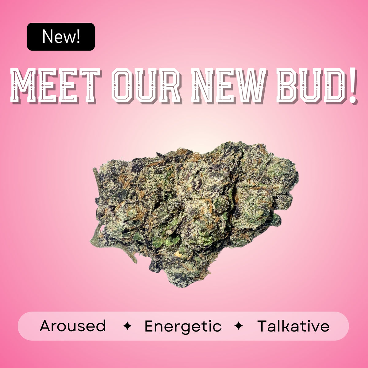 Pipe Dream- Sativa - 36.1%