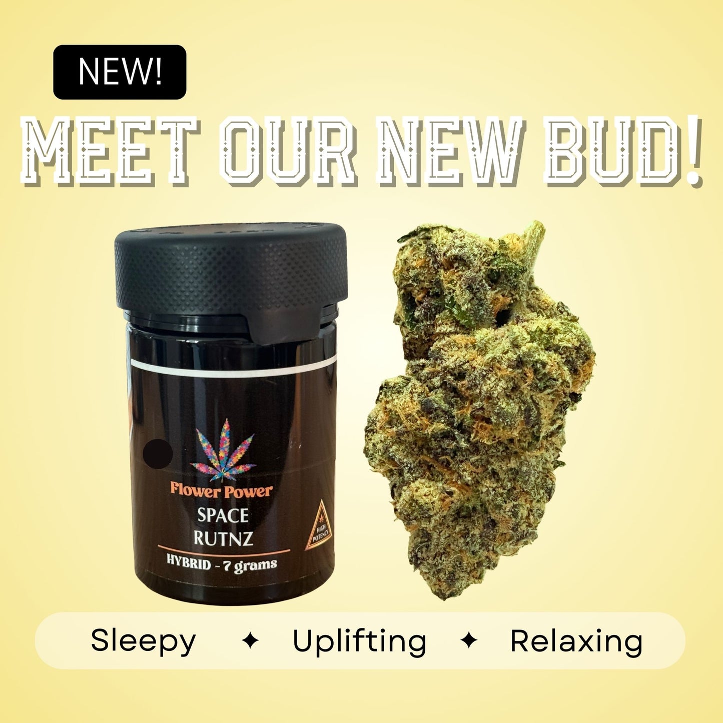 Space Runtz - Hybrid - 35.1%