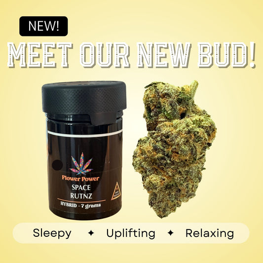 Space Runtz - Hybrid - 35.1%