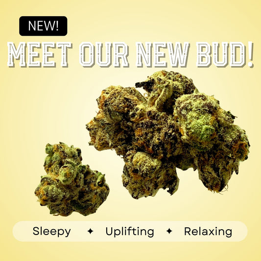 Space Runtz - Hybrid - 35.1%