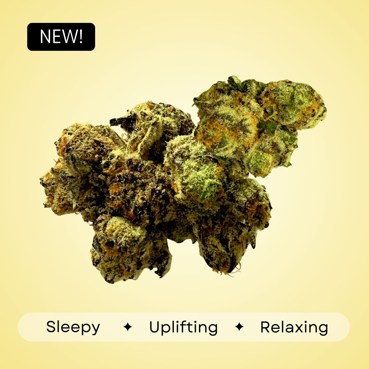 Space Runtz - Hybrid - 35.1%